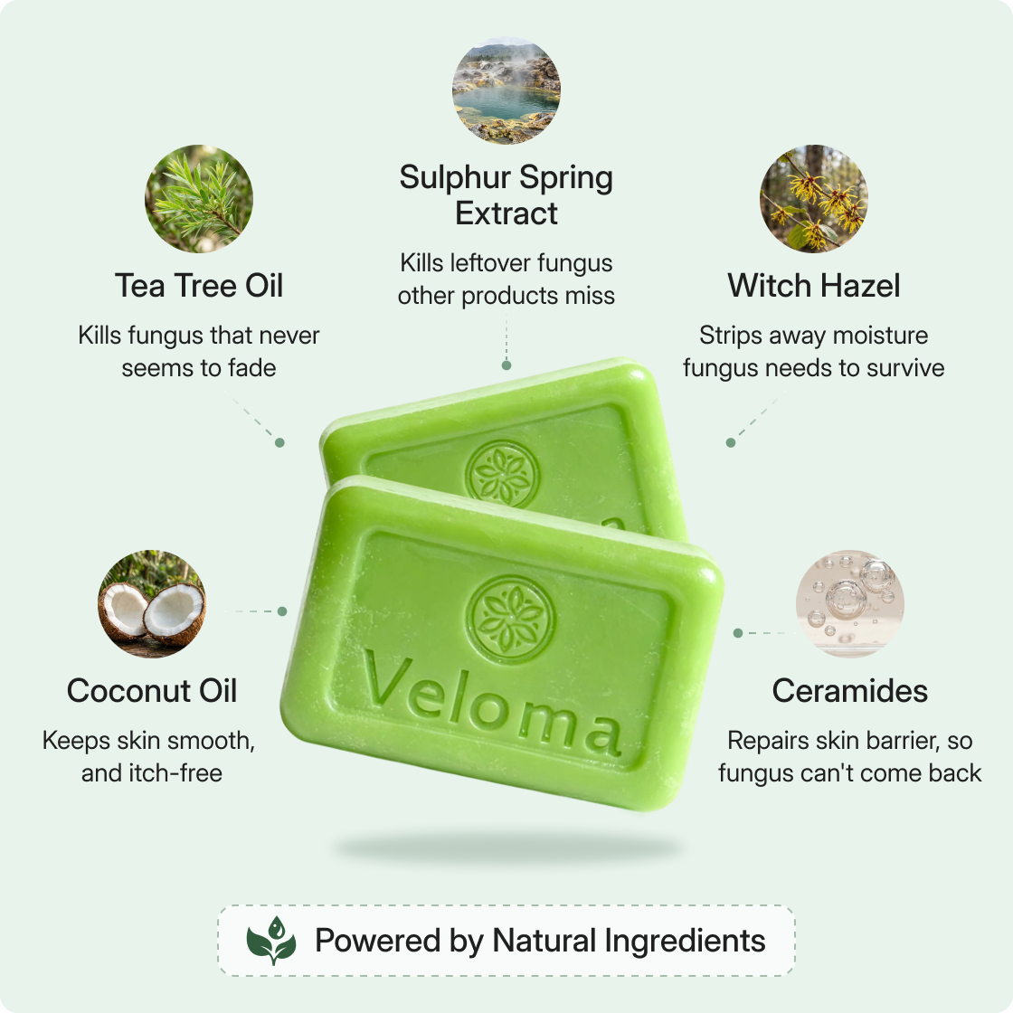 BioClean Antifungal Tvål